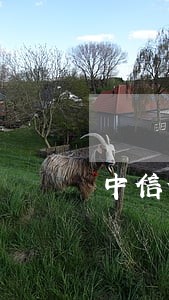 中信信用卡逾期三个月怎么协商 中信信用卡逾期三个月怎么协商