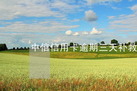 中信信用卡逾期三天补救 中信信用卡逾期三天补救
