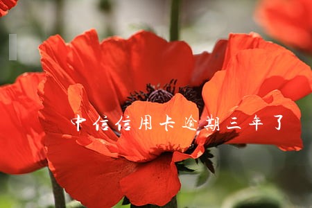 中信信用卡逾期三年了 中信信用卡逾期三年了