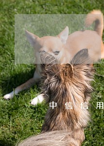 中信信用卡逾期三年了会起诉吗 中信信用卡逾期三年了会起诉吗