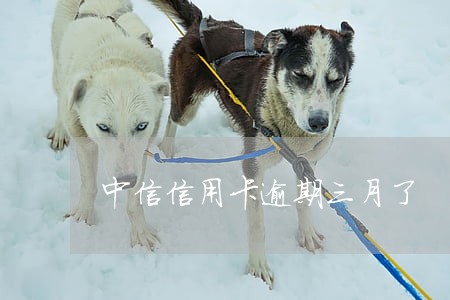 中信信用卡逾期三月了 中信信用卡逾期三月了