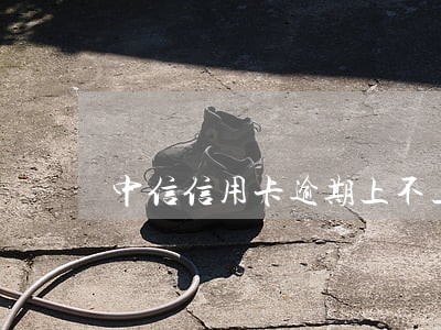 中信信用卡逾期上不上征信 中信信用卡逾期上不上征信