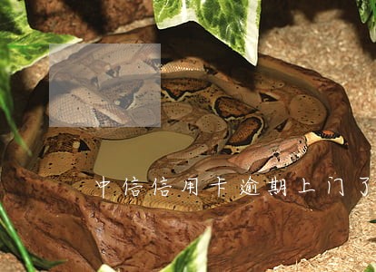 中信信用卡逾期上门了吗 中信信用卡逾期上门了吗