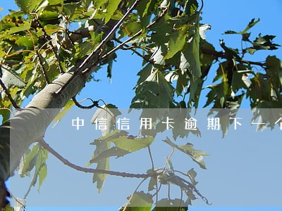 中信信用卡逾期下一个账单 中信信用卡逾期下一个账单