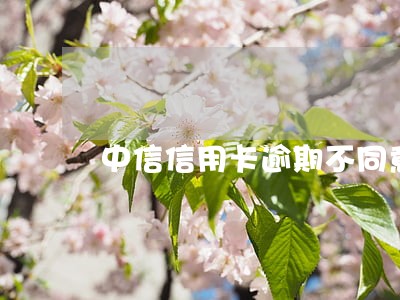 中信信用卡逾期不同意分期怎么办 中信信用卡逾期不同意分期怎么办