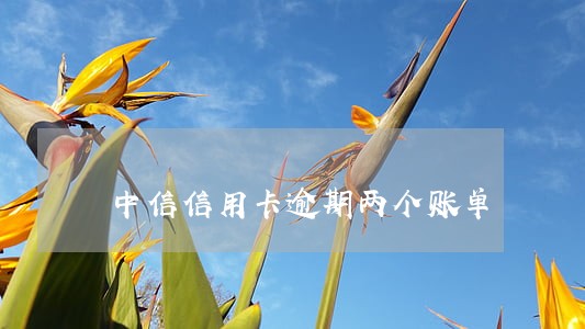中信信用卡逾期两个账单 中信信用卡逾期两个账单
