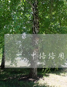 中信信用卡逾期两天会不会上征信 中信信用卡逾期两天会不会上征信