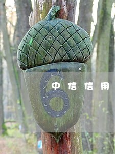 中信信用卡逾期两天后果 中信信用卡逾期两天后果