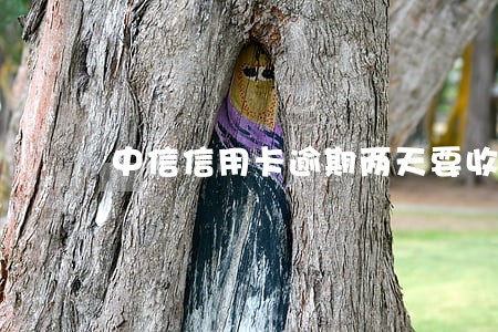 中信信用卡逾期两天要收利息 中信信用卡逾期两天要收利息