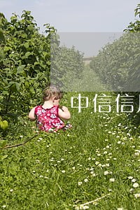 中信信用卡逾期两年了怎么办 中信信用卡逾期两年了怎么办