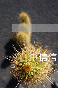 中信信用卡逾期两年多 中信信用卡逾期两年多