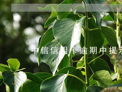中信信用卡逾期中提示提额了 中信信用卡逾期中提示提额了