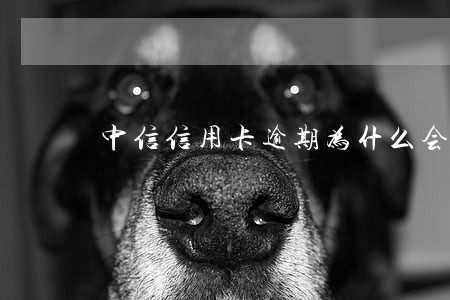 中信信用卡逾期为什么会有第三方 中信信用卡逾期为什么会有第三方