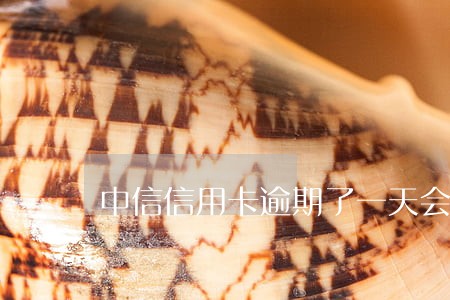 中信信用卡逾期了一天会怎样 中信信用卡逾期了一天会怎样