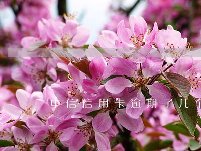 中信信用卡逾期了几个小时 中信信用卡逾期了几个小时