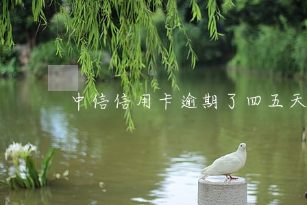 中信信用卡逾期了四五天 中信信用卡逾期了四五天