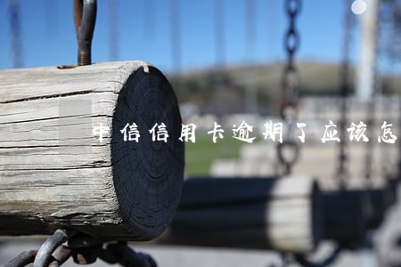 中信信用卡逾期了应该怎么办 中信信用卡逾期了应该怎么办