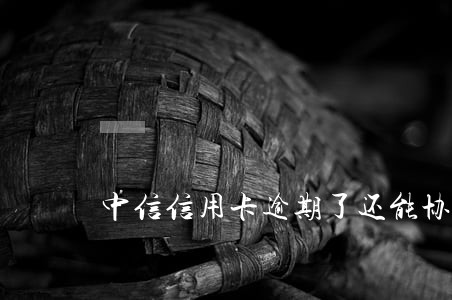 中信信用卡逾期了还能协商吗
