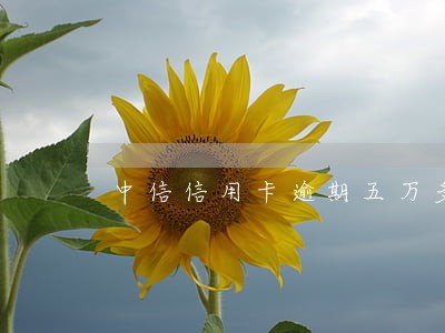 中信信用卡逾期五万多家访上门 中信信用卡逾期五万多家访上门