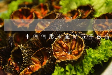 中信信用卡逾期五千被告