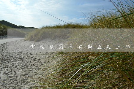 中信信用卡逾期五天上征信不 中信信用卡逾期五天上征信不