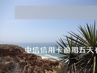 中信信用卡逾期五天有多少利息 中信信用卡逾期五天有多少利息