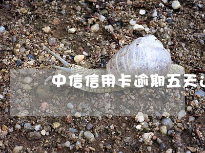 中信信用卡逾期五天还款