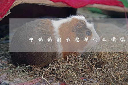 中信信用卡逾期什么情况下核销 中信信用卡逾期什么情况下核销