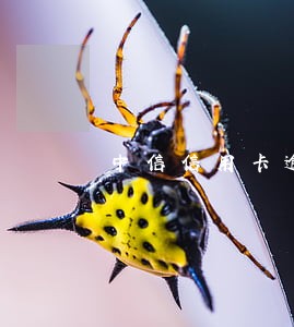 中信信用卡逾期今天上门取证了 中信信用卡逾期今天上门取证了