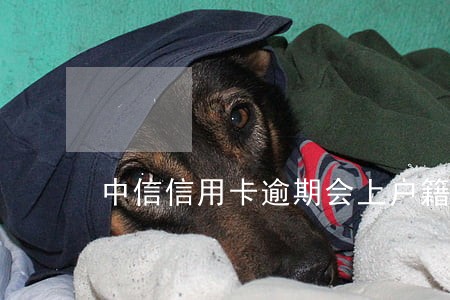 中信信用卡逾期会上户籍 中信信用卡逾期会上户籍