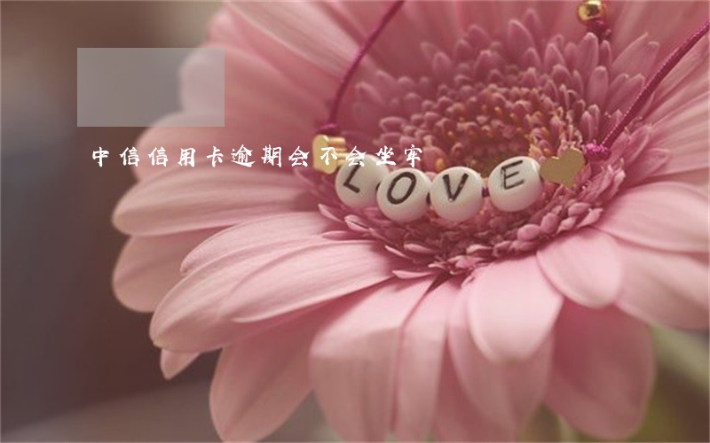 中信信用卡逾期会不会坐牢
