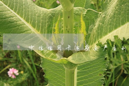 中信信用卡逾期会产生利息吗