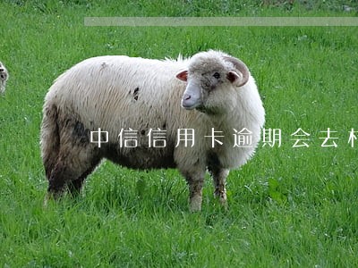 中信信用卡逾期会去村委会吗 中信信用卡逾期会去村委会吗