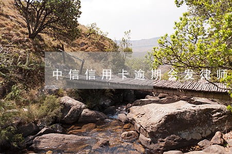中信信用卡逾期会发律师函吗 中信信用卡逾期会发律师函吗