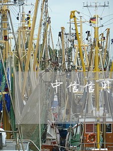 中信信用卡逾期会抓人吗