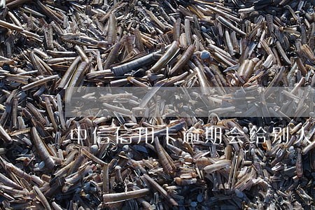 中信信用卡逾期会给别人打电话吗 中信信用卡逾期会给别人打电话吗