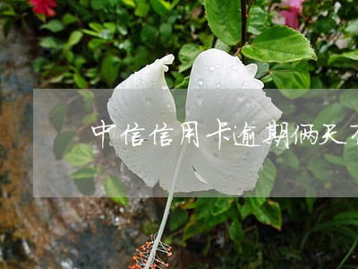 中信信用卡逾期俩天有事吗 中信信用卡逾期俩天有事吗