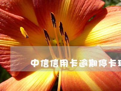 中信信用卡逾期停卡现在结清
