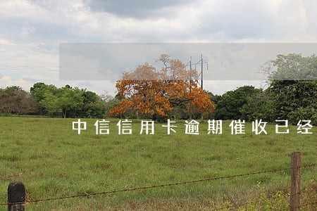 中信信用卡逾期催收已经上门 中信信用卡逾期催收已经上门