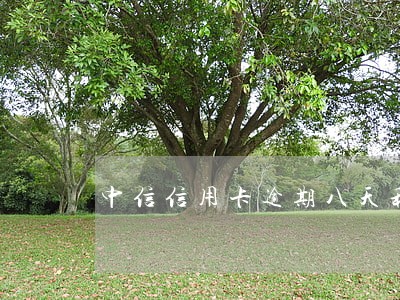 中信信用卡逾期八天利息多少