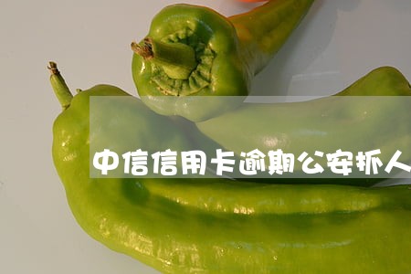 中信信用卡逾期公安抓人 中信信用卡逾期公安抓人