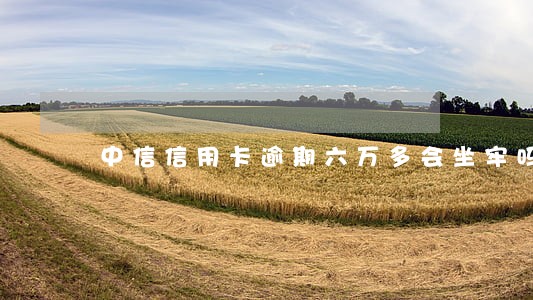 中信信用卡逾期六万多会坐牢吗