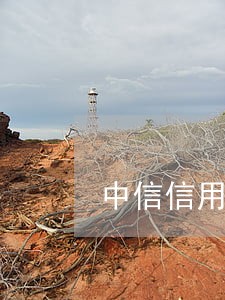 中信信用卡逾期六个月