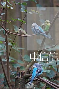 中信信用卡逾期再还会冻结吗