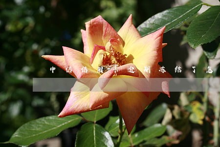 中信信用卡逾期冻结了怎么