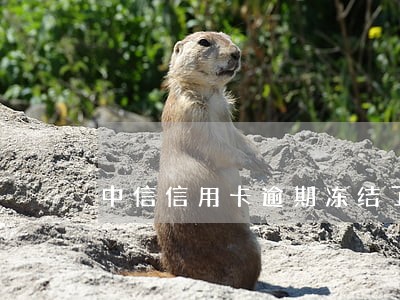 中信信用卡逾期冻结了怎么解冻 中信信用卡逾期冻结了怎么解冻