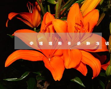 中信信用卡逾期冻结能解封吗 中信信用卡逾期冻结能解封吗