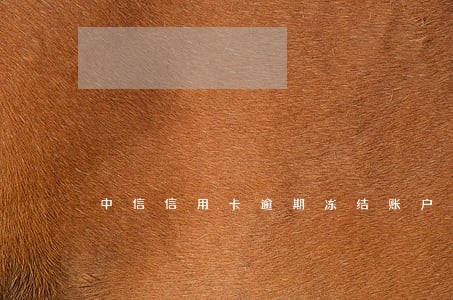 中信信用卡逾期冻结账户 中信信用卡逾期冻结账户