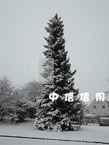 中信信用卡逾期减免批复 中信信用卡逾期减免批复
