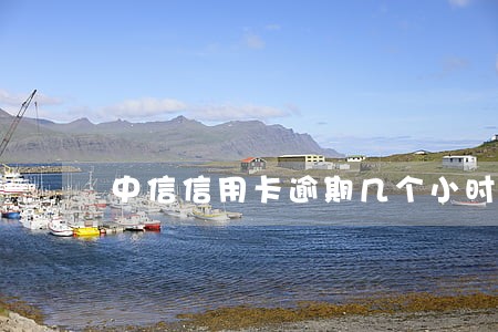 中信信用卡逾期几个小时上征信吗